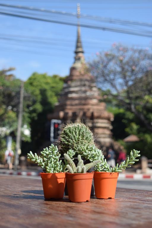 See You Soon, Chiang Mai Ngoại thất bức ảnh